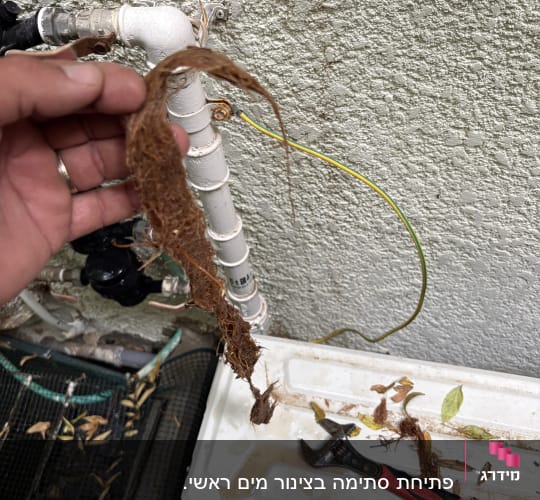 יד מחזיקה שורש ליד צינור וכלי עבודה